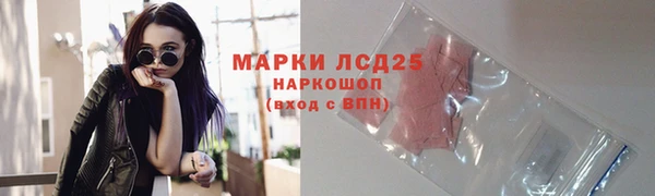 стафф Дмитриев