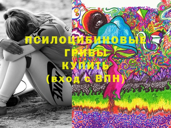 apvp Горнозаводск