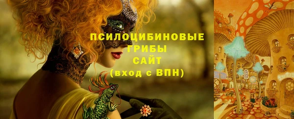 мдма Горняк