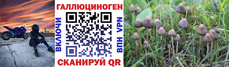 Галлюциногенные грибы ЛСД  Томилино 